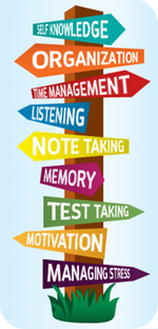 Study Skills Tree